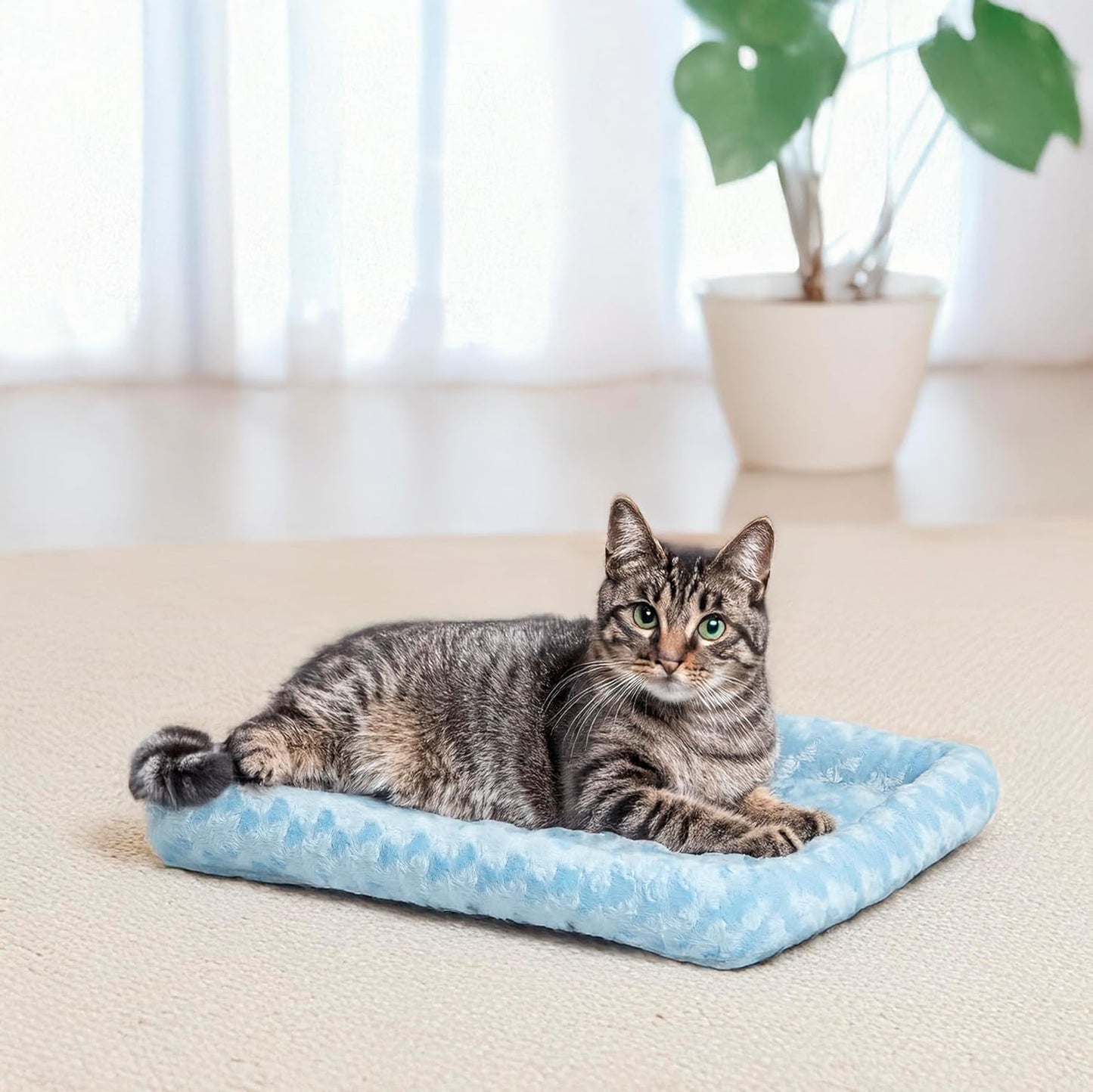 MidWest Homes for Pets QuietTime Dog Bed - White Fleece Bolster, Ultra-Soft and Machine Washable, Fits 24-Inch Crates and Carriers, for Small Breed Dogs