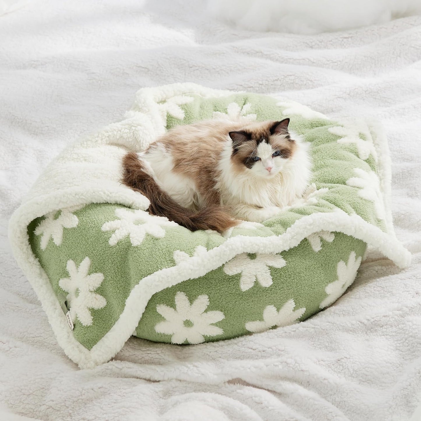 LE SURE Waterproof Dog Blanket for Large Dogs - Washable Double Sided Dog Blankets with Warm Jacquard Shag and Soft Sherpa Fleece, Pet Cat Blanket for Couch Protection, 3D Textured Cloud, Green