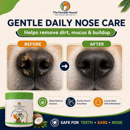 3-in-1 Dog Dental Wipes – Finger Wipes for Teeth, Ears & Snout Infused with Coconut Oil | Promotes Fresh Breath, Tartar Control & Daily Hygiene | Gentle Grooming Wipes for All Dogs – 50 Count