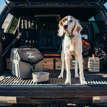 GUNNER 50 lbs Dog Food Storage Container - Waterproof & Airtight Pet Food Bin - Multi-Purpose Container for Dry Food, Corn, Chicken Feed, Treats, Bird Seed, & More - Gunmetal