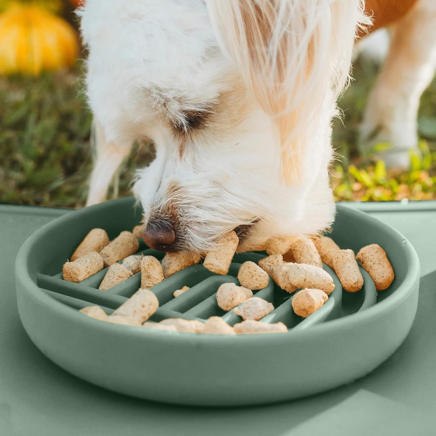 Should We Go? Slow Feeder for Dogs & Puppies, The Slowdown Bowl Silicone Slow Eating, Modern Lick Mat Design, Reduces Gulping, Fits 2 Cups, 7.5” Across x 1.5” Tall, Mealtime Challenge, Medium-Blush