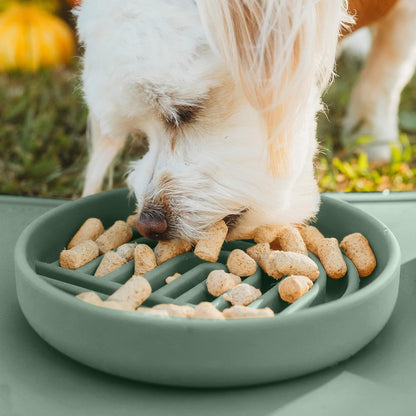 Should We Go? Slow Feeder for Dogs & Puppies, The Slowdown Bowl Silicone Slow Eating, Modern Lick Mat Design, Reduces Gulping, Fits 2 Cups, 7.5” Across x 1.5” Tall, Mealtime Challenge, Medium-Blush