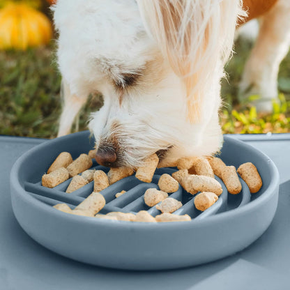 Should We Go? Slow Feeder for Dogs & Puppies, The Slowdown Bowl Silicone Slow Eating, Modern Lick Mat Design, Reduces Gulping, Fits 2 Cups, 7.5” Across x 1.5” Tall, Mealtime Challenge, Medium-Blush