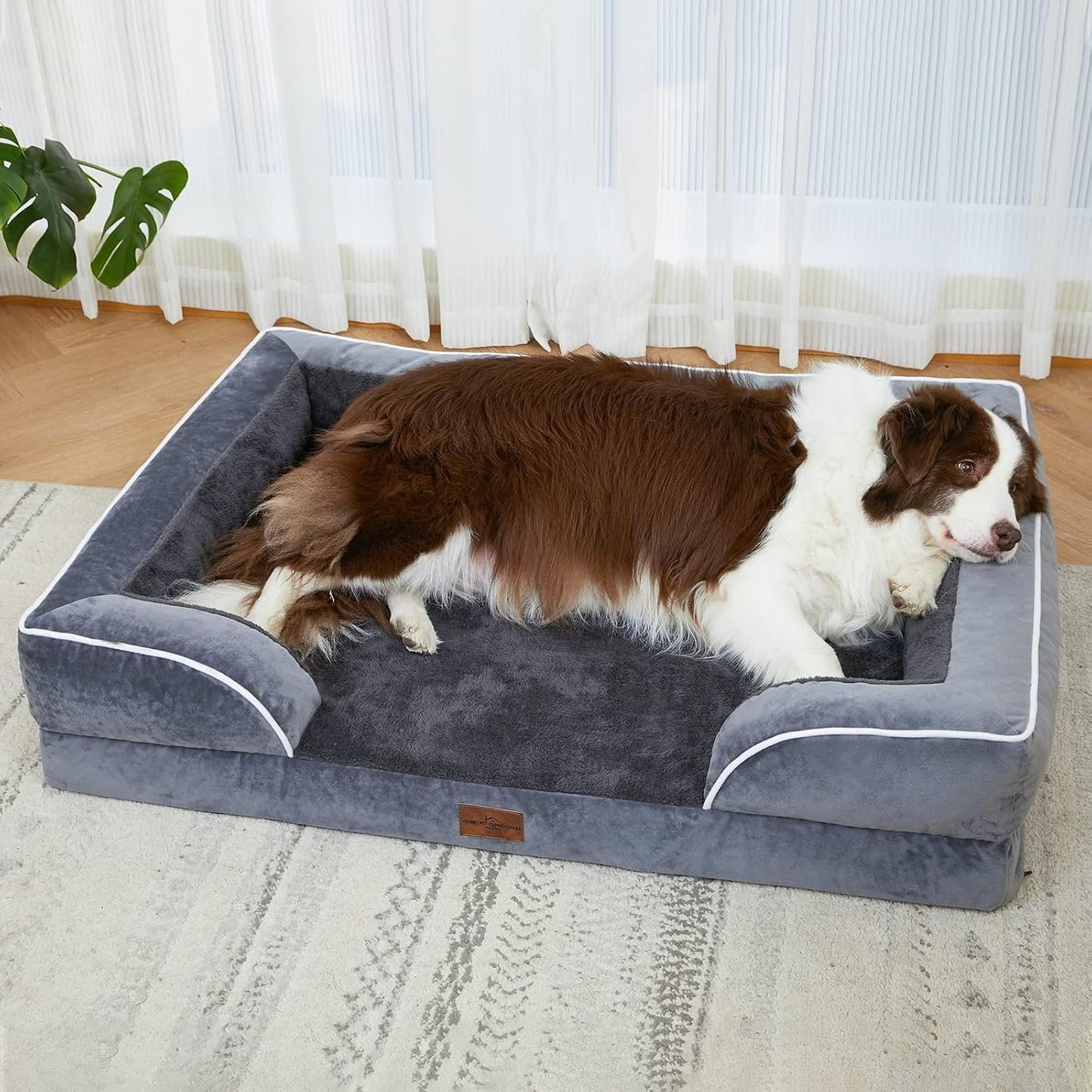 Comfort Expression Orthopedic Dog Bed for Extra Large Dogs 42x30 Inch, Waterproof Egg Crate Foam XL Pet Bed with Removable Bolsters, Dog Couch with Washable Cover & Non-Slip Bottom, Grey - Colors A