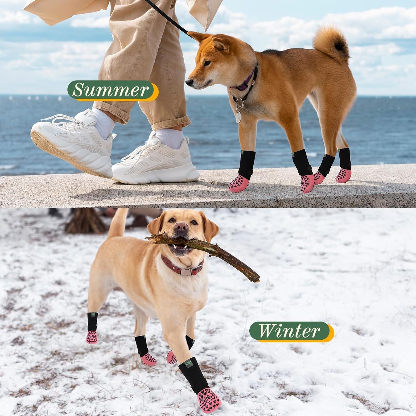 EXPAWLORER Anti Slip Dog Socks to Prevent Licking Paws, Dog Shoes for Hot Pavement Walk, Dog Booties for Hardwood Floors, Dog Boots & Paw Protectors with Grippers for Small Medium Large Senior Dogs M
