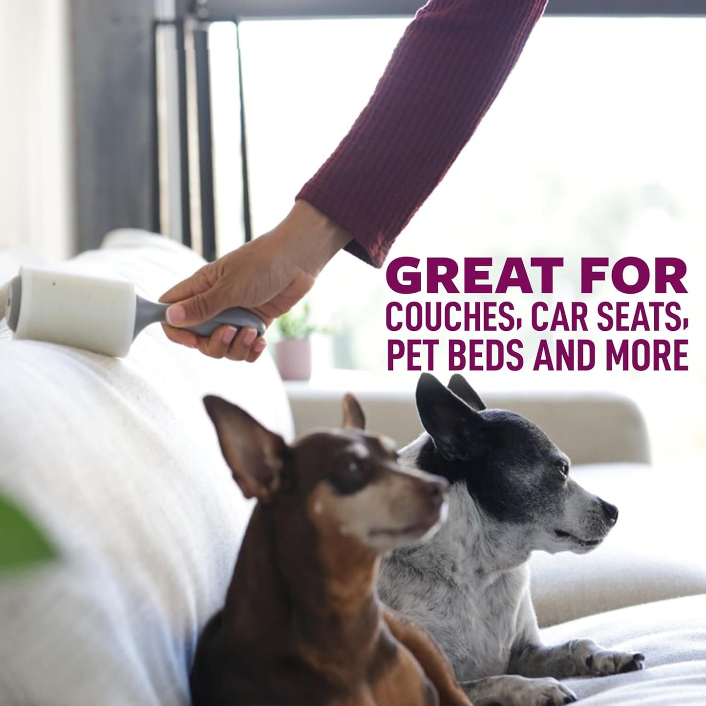 Scotch-Brite Pet Hair Pickup Extra Sticky Large Lint Roller, Designed for Removing Fur + Fluff on Couches, Clothes, Dog and Cat Beds, & More, 1 Pack, 60 Easy-Tear Adhesive Sheets Total