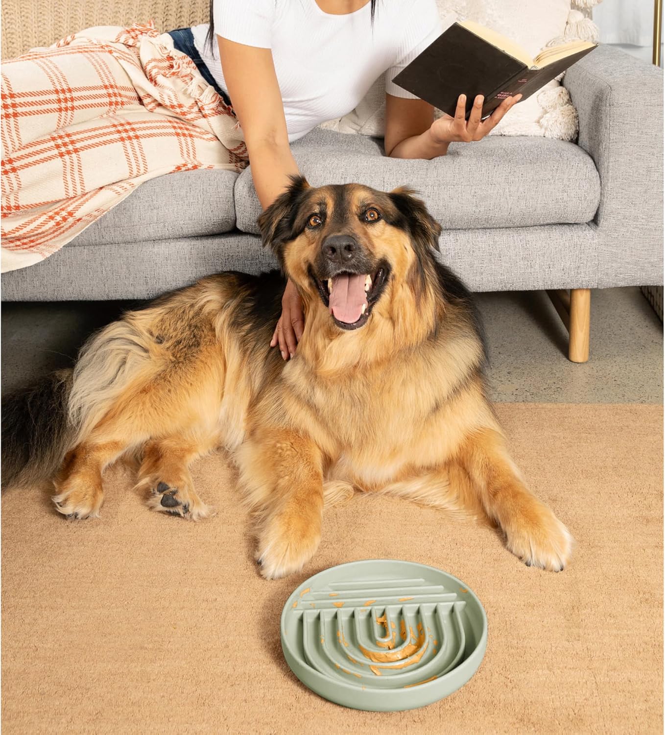 Should We Go? Slow Feeder for Dogs & Puppies, The Slowdown Bowl Silicone Slow Eating, Modern Lick Mat Design, Reduces Gulping, Fits 2 Cups, 7.5” Across x 1.5” Tall, Mealtime Challenge, Medium-Blush