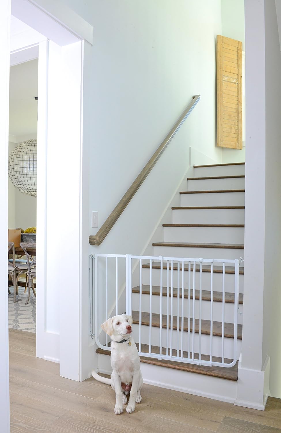 Cardinal Gates SS30 Stairway Special Baby Gate for Top of Stairs - Adjustable Indoor Dog Gate - Aluminum Metal Safety Gate for Kids & Pets - 27 to 42.5 Inches Wide - Black - USA Based Company