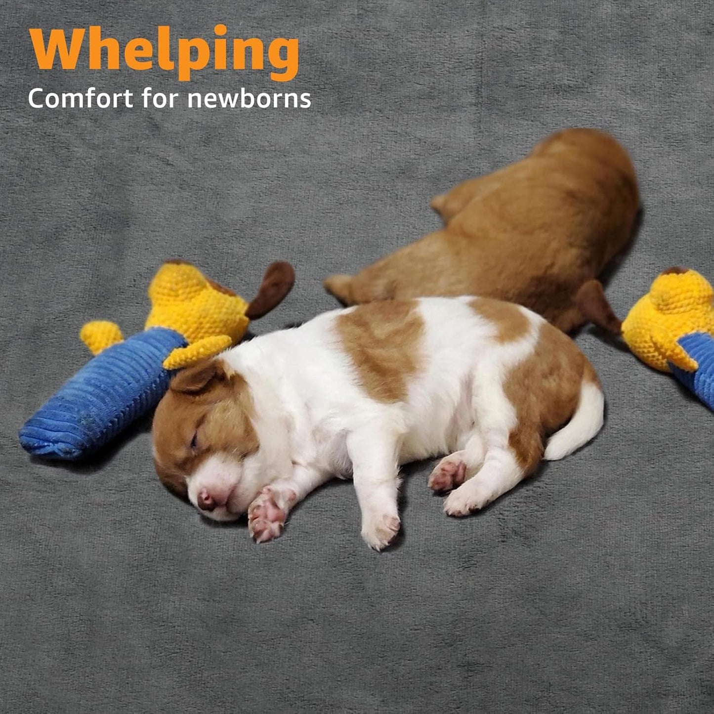 Dog Pee Pad Washable Extra Large, Instant Absorb Thicker Training Pads Non-Slip Pet Playpen Mat, Waterproof Reusable Floor Mat Ideal for Puppy Senior Dog Whelping Incontinence Housebreaking 65x48 Inch