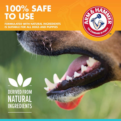 Arm & Hammer for Pets Fresh Breath Enzymatic Dog Toothpaste, Vanilla Ginger Flavor, Safe for Puppies and Adult Dogs, Daily Baking Soda Dental Gel to Eliminate Bad Breath, 2.5 Oz