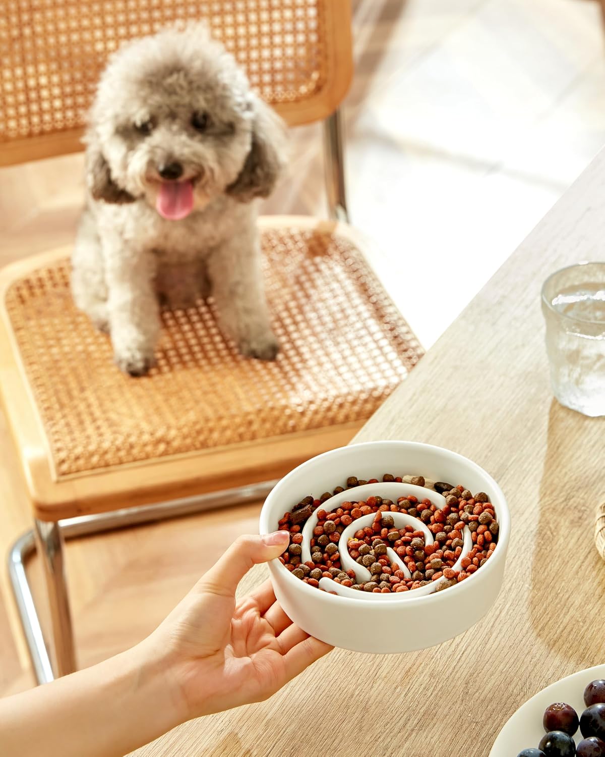 Ceramic Slow Feeder Dog Bowls, 2.0 Cups Slow Feeder for Medium Dogs, Puzzle Maze Bowl to Slow Down Eating, 30oz, 8in, White