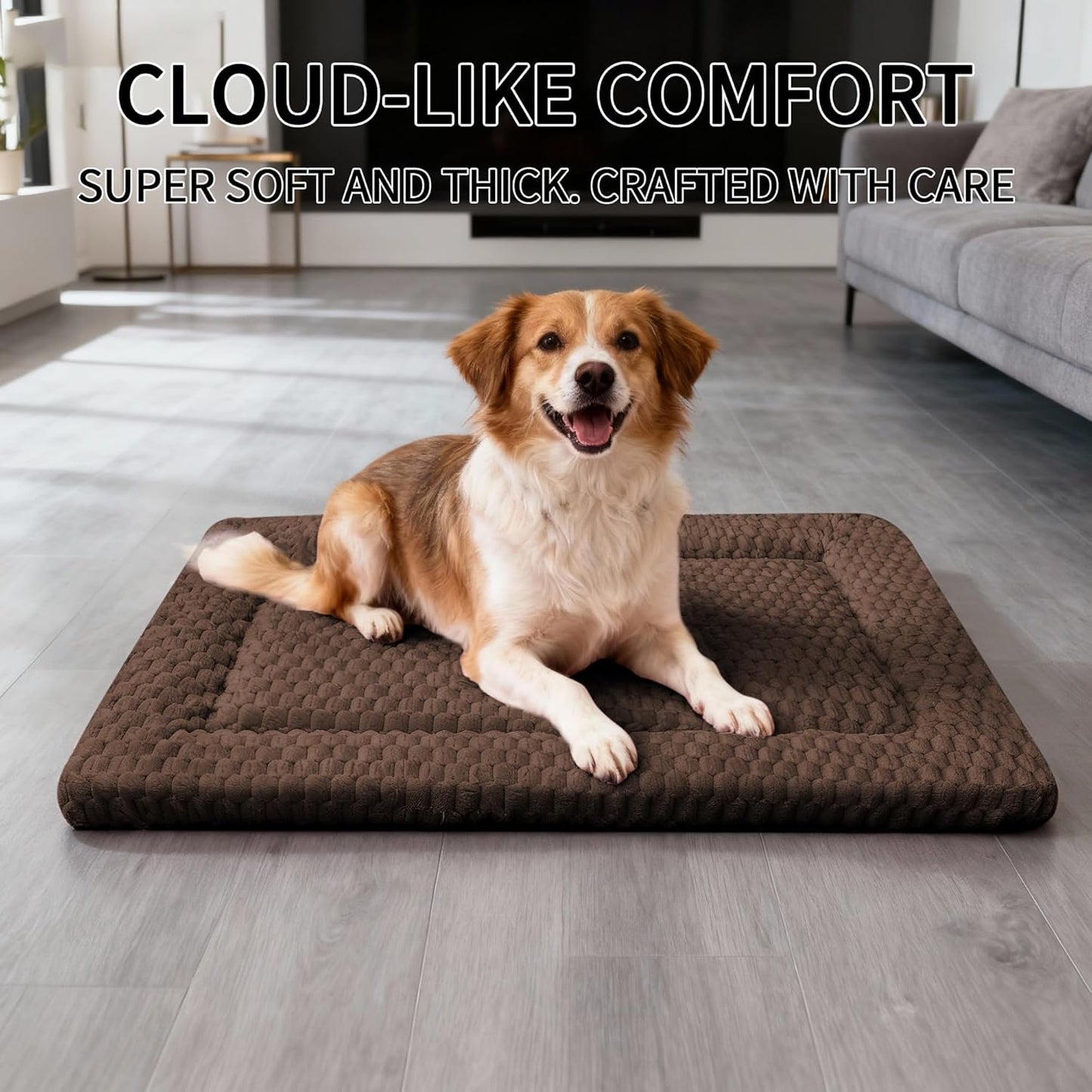 Dog Bed Mat, Reversible Crate Pad & Cute Dog Bed - Machine Washable Kennel Mat with Ultra Soft for Small Dogs (Cool/Warm), 24" x 18", Grey&Star