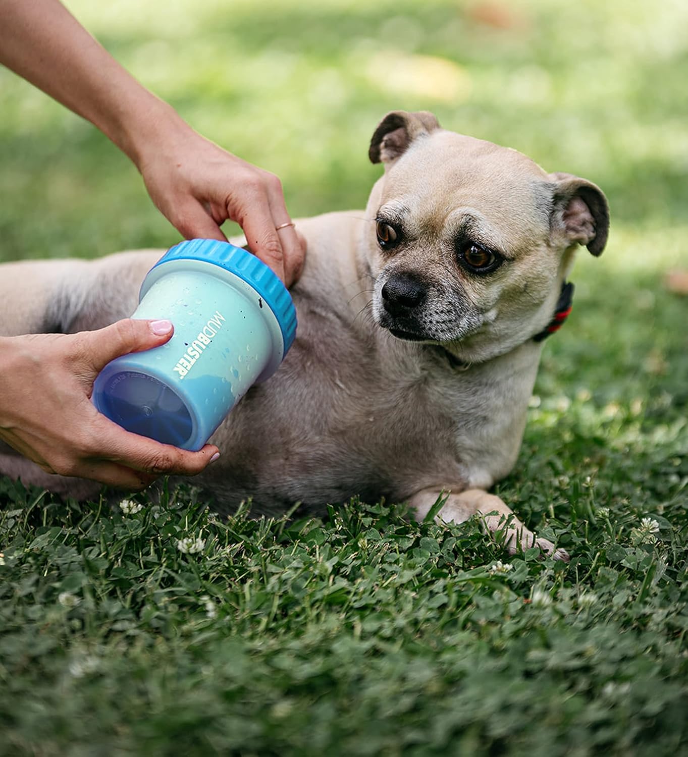 Dexas MudBuster Medium Dog Paw Cleaner in Fuchsia - Fits 1.5"-2.5" Wide Paws, Portable Paw Washer for Muddy Paws, Dog Paw Cleaning Cup with Gentle Silicone Bristles, Quick Clean Pet Paw Washer