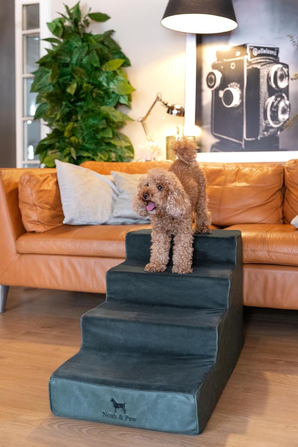 Noah & Paw Dog Stairs, Dog Ramp for Bed (20" Extra Wide) Pet Stairs for High Bed, Design to Fit Small and Large Breeds, Durable 5 Pet Steps for Couch (35 Foam Density) Leather Collection
