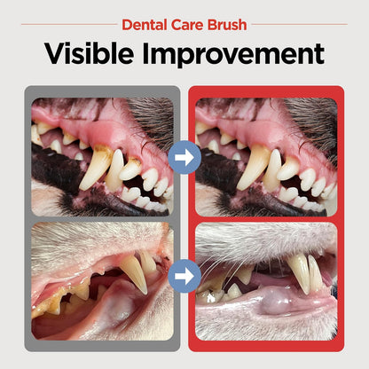 JAYU PET Dental Care Brush with Soft Bristles 1ea - Dog Toothbrush, Cat Toothbrush, Dental Care for Kitten and Small Dogs, Removing Old Plaque and Tartar, Easy Cleaning