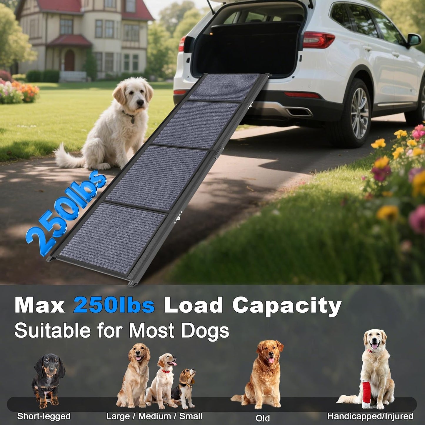 AQUILLA Dog Ramp for Car, 67" L x 17.3" W Foldable Portable Dog Ramp with Non-Slip Rug Surface, Outdoor Pet Ramp for Small & Large & Old Dogs, Get on SUV Car & Truck, Up to 250LBS