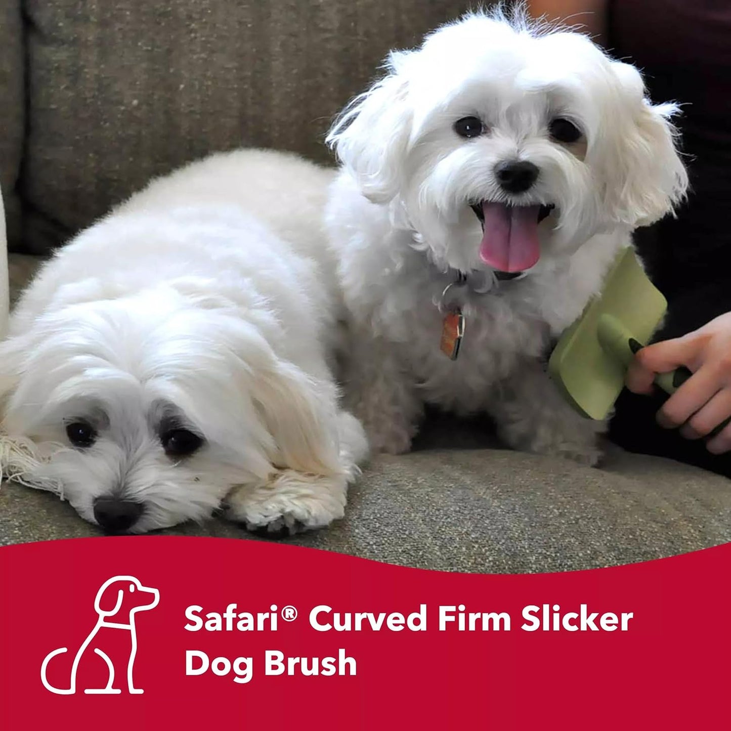 Coastal Dog Slicker Brush, Green - Grooming & Shedding Brush for Dogs of All Hair Types - Curved Design for Easy Detangling - Non-Slip Handle, 6.75'' x 4.25''
