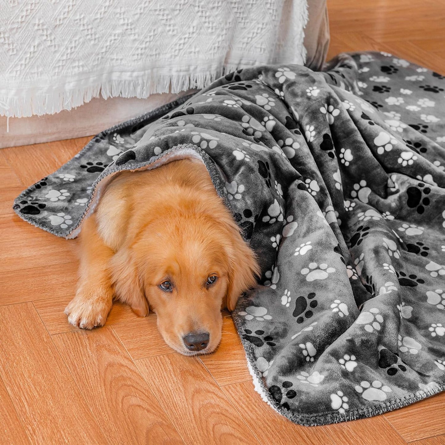 Waterproof Pet Blanket Dog Blankets, Pattern Printing Super Soft Warm Fluffy Facecloth Sofa Car Bed Protector, Urine Proof Washable Outdoor Pet Blanket for Puppy Large Dogs & Cats 40 * 30 inch