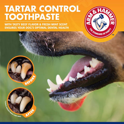 Arm & Hammer for Pets Tartar Control Enzymatic Dog Toothpaste, Reduces Plaque & Tartar Buildup, Infused with Baking Soda, Safe for All Dogs and Puppies, Beef Flavor, 2.5 Oz
