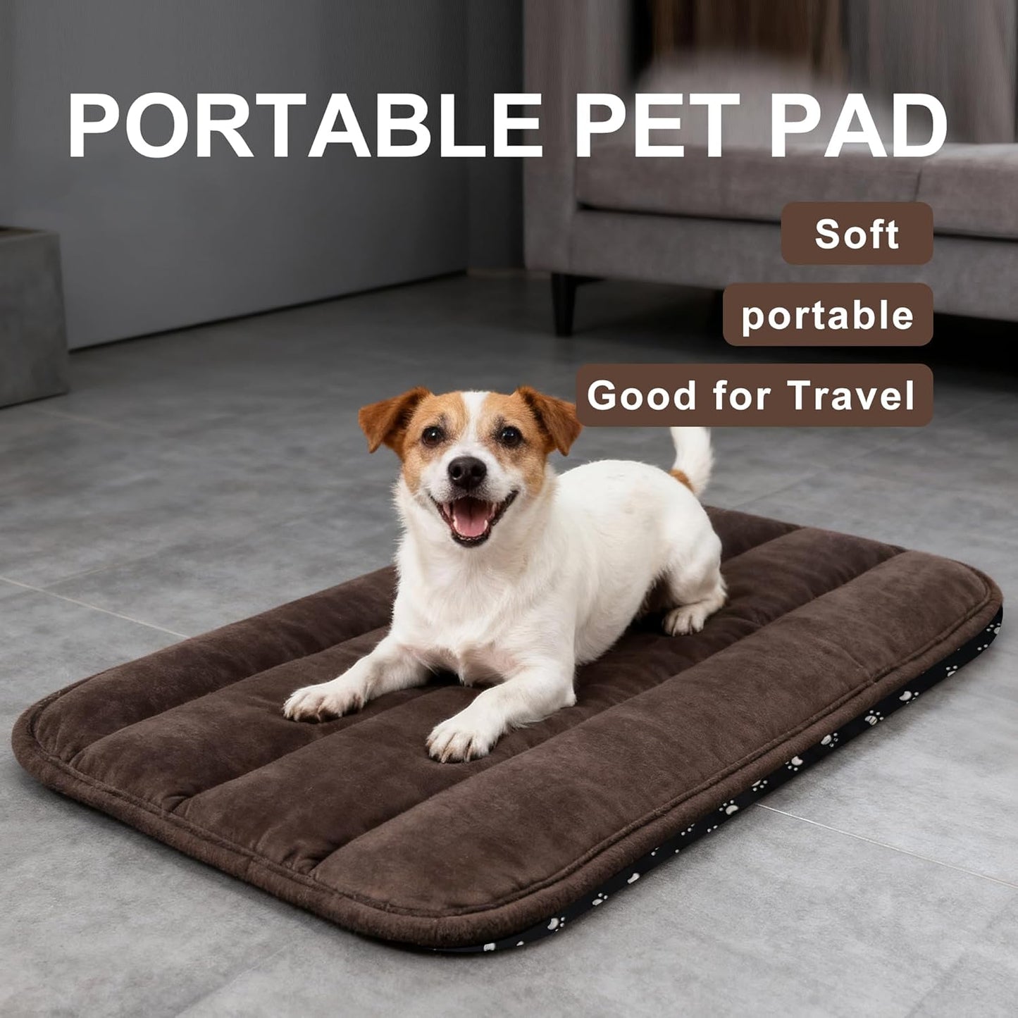 Dog Bed Mat, Reversible Crate Pad & Cute Dog Bed - Machine Washable Kennel Mat with Ultra Soft for Small Dogs (Cool/Warm), 24" x 18", Grey&Star