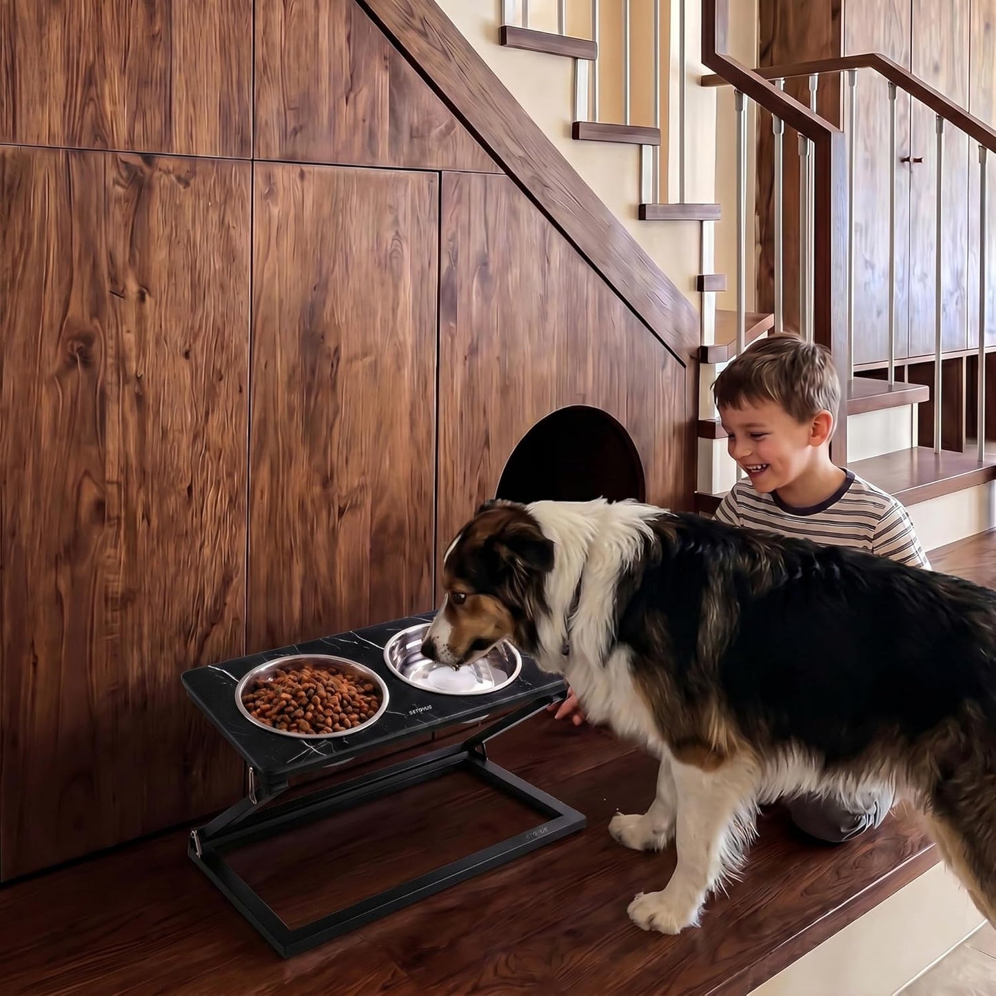 Elevated Dog Bowls, Adjustable Raised Dog Bowl Stand with 2 Stainless Steel Food Bowls 20°Tilted Water Bowls for Medium Small Sized Dogs (Black, Medium)