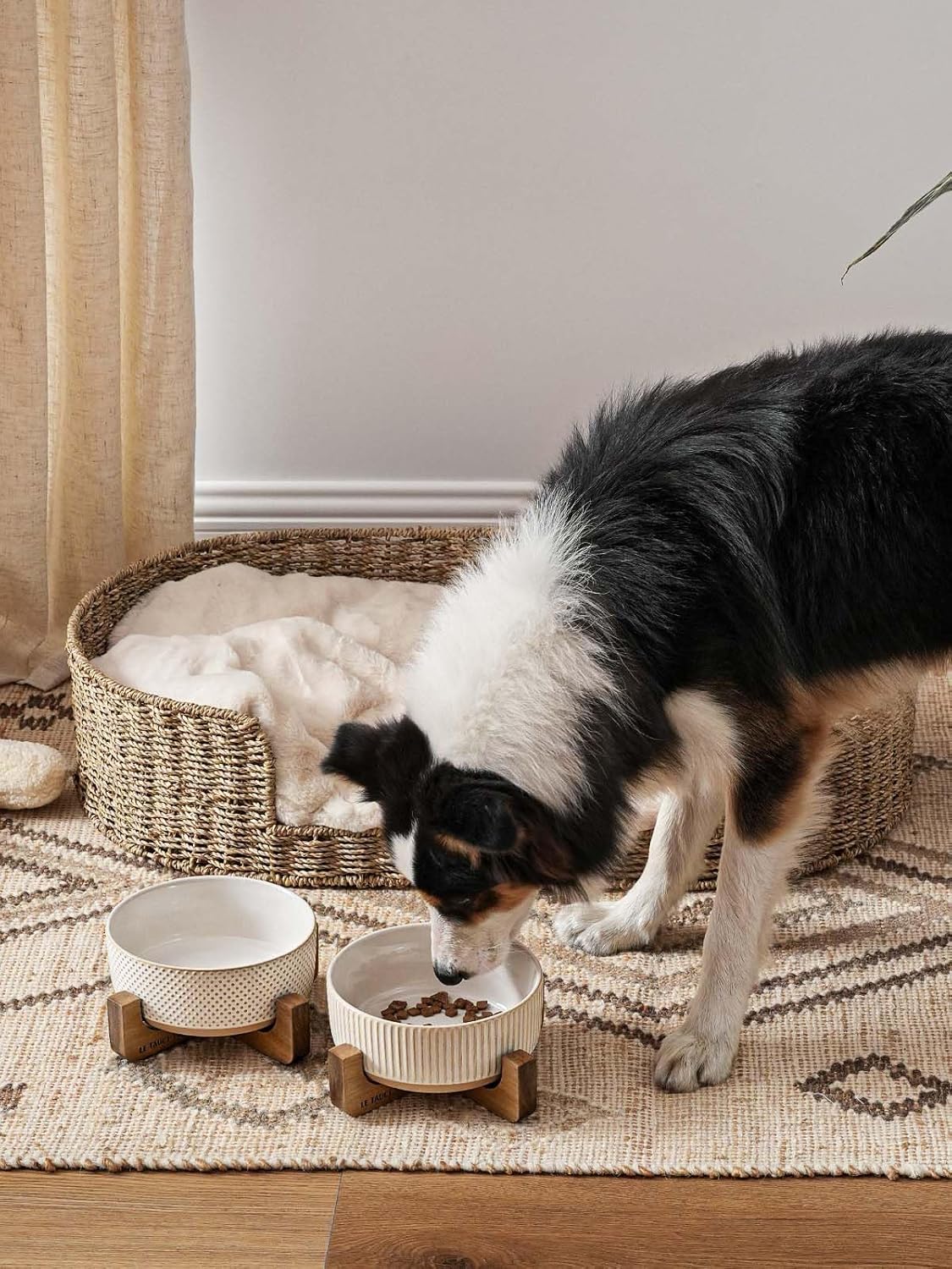 LE TAUCI PET Ceramic Dog and Cat Bowl Set with Acacia Wood Stand - 2 Cup Weighted Non-Slip Food and Water Bowls for Small Dogs & Cats, Lines + Dot