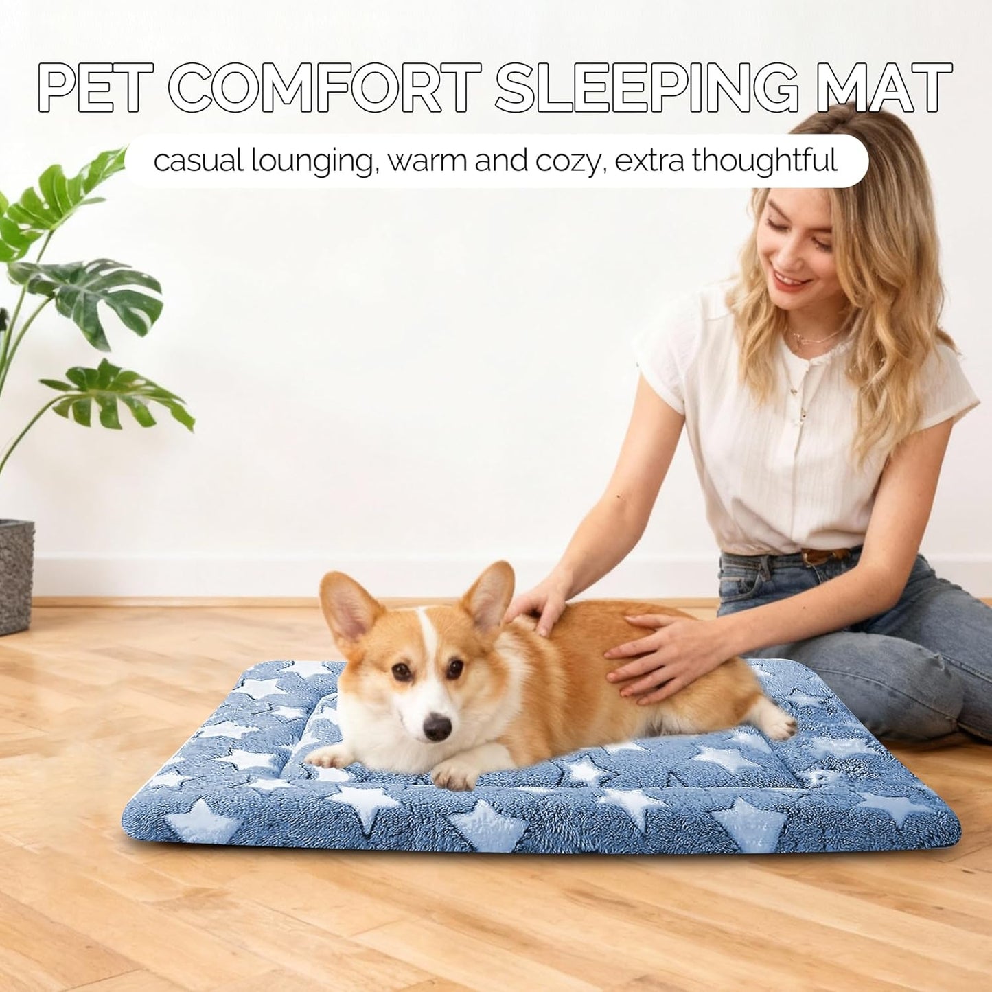 Dog Bed Mat, Reversible Crate Pad & Cute Dog Bed - Machine Washable Kennel Mat with Ultra Soft for Small Dogs (Cool/Warm), 24" x 18", Grey&Star