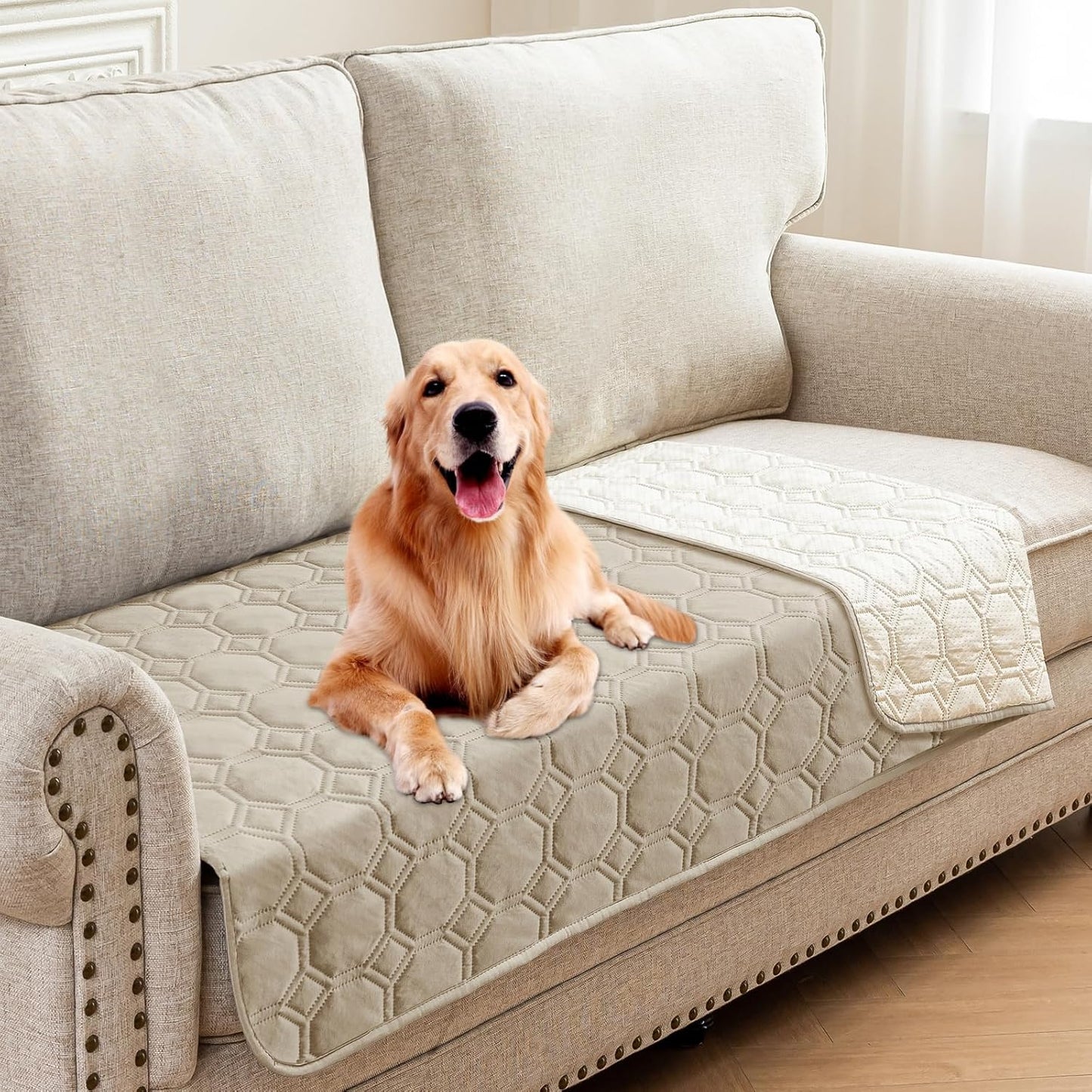 ZNSAYOTX Ultimate Cozy Blankets (30"x70") 100% Waterproof Sofa Mat Blanket for Dog Pets, Bed Couch Protector with Non-Slip Back Washable Durable, Pee Scratch Proof Easy to Clean (Dark Grey)