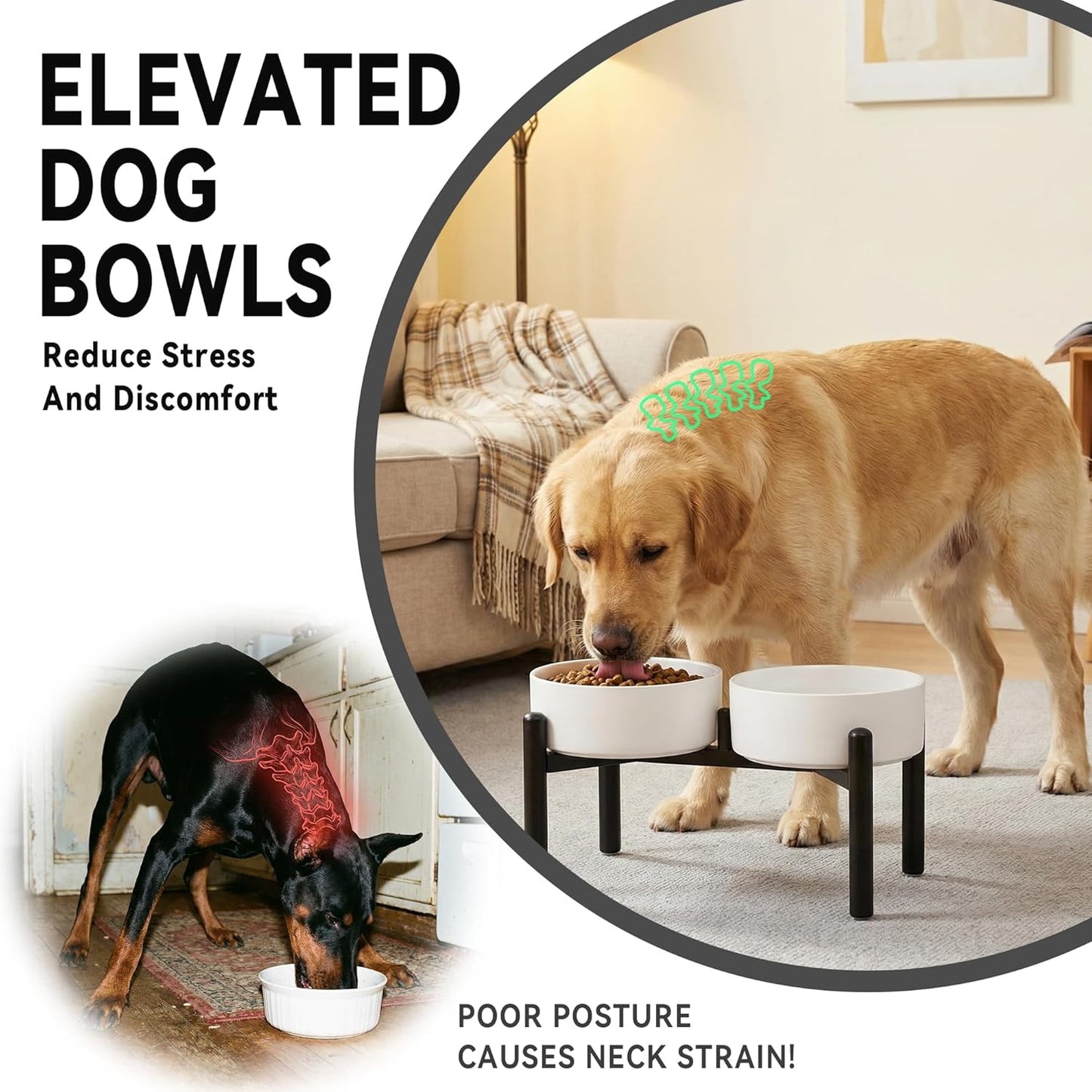 Raised Ceramic Dog Bowl Set - Elevated Double Dishes with Stainless Steel Stand - Food and Water Bowls for Small to Medium Dogs - Each Holds 3.5 Cups (29.57 fl oz) - White