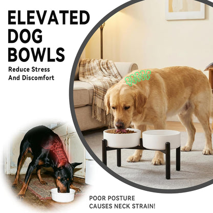 Raised Ceramic Dog Bowl Set - Elevated Double Dishes with Stainless Steel Stand - Food and Water Bowls for Small to Medium Dogs - Each Holds 3.5 Cups (29.57 fl oz) - White