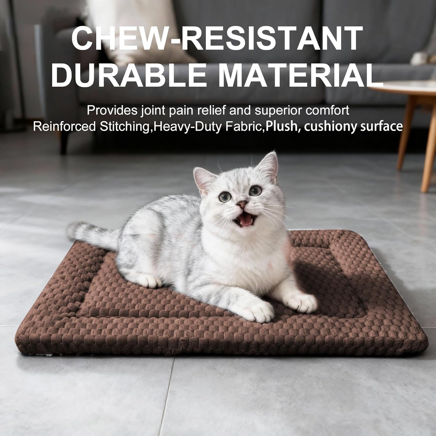 Dog Bed Mat, Reversible Crate Pad & Cute Dog Bed - Machine Washable Kennel Mat with Ultra Soft for Small Dogs (Cool/Warm), 24" x 18", Grey&Star