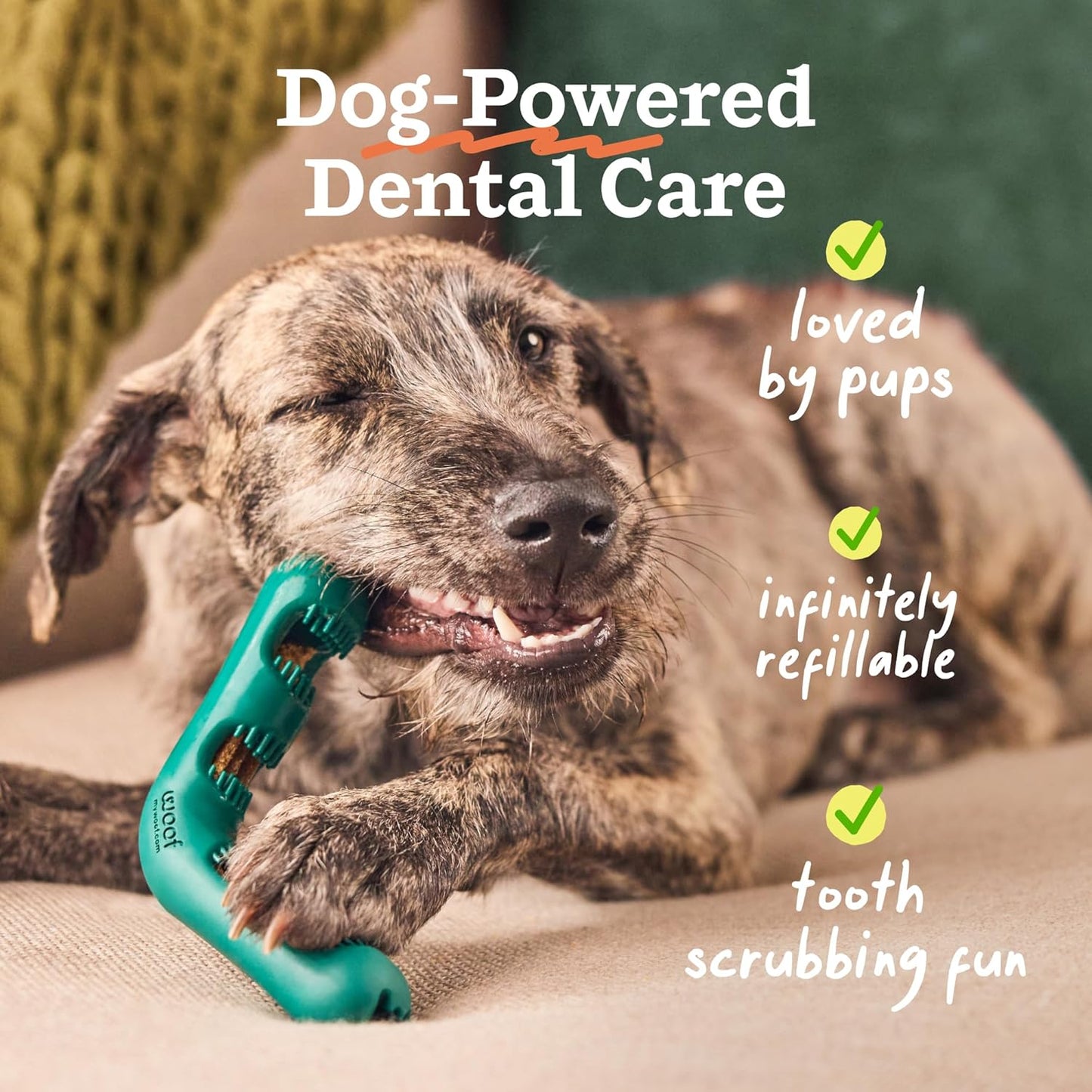 WOOF The Bite n' Brush - Dog Toothbrush Toy - Scrub Plaque and Tartar from Your Dog's Teeth and Mouth - Dog Dental Chew Toy - Small