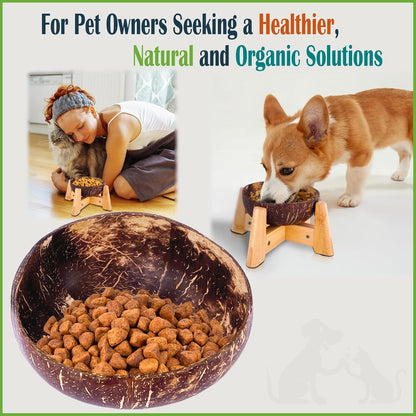 Elevated Slow Feeder Dog Bowls Large Breed - (12-inch-high) - Raised Bowl with Anti-Choking Insert - Stainless Metal and Bamboo