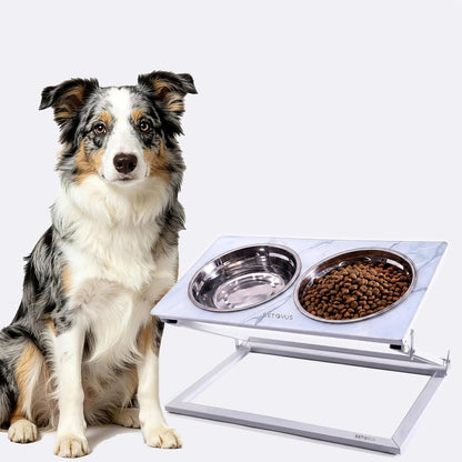 Elevated Dog Bowls, Adjustable Raised Dog Bowl Stand with 2 Stainless Steel Food Bowls 20°Tilted Water Bowls for Medium Small Sized Dogs (Black, Medium)