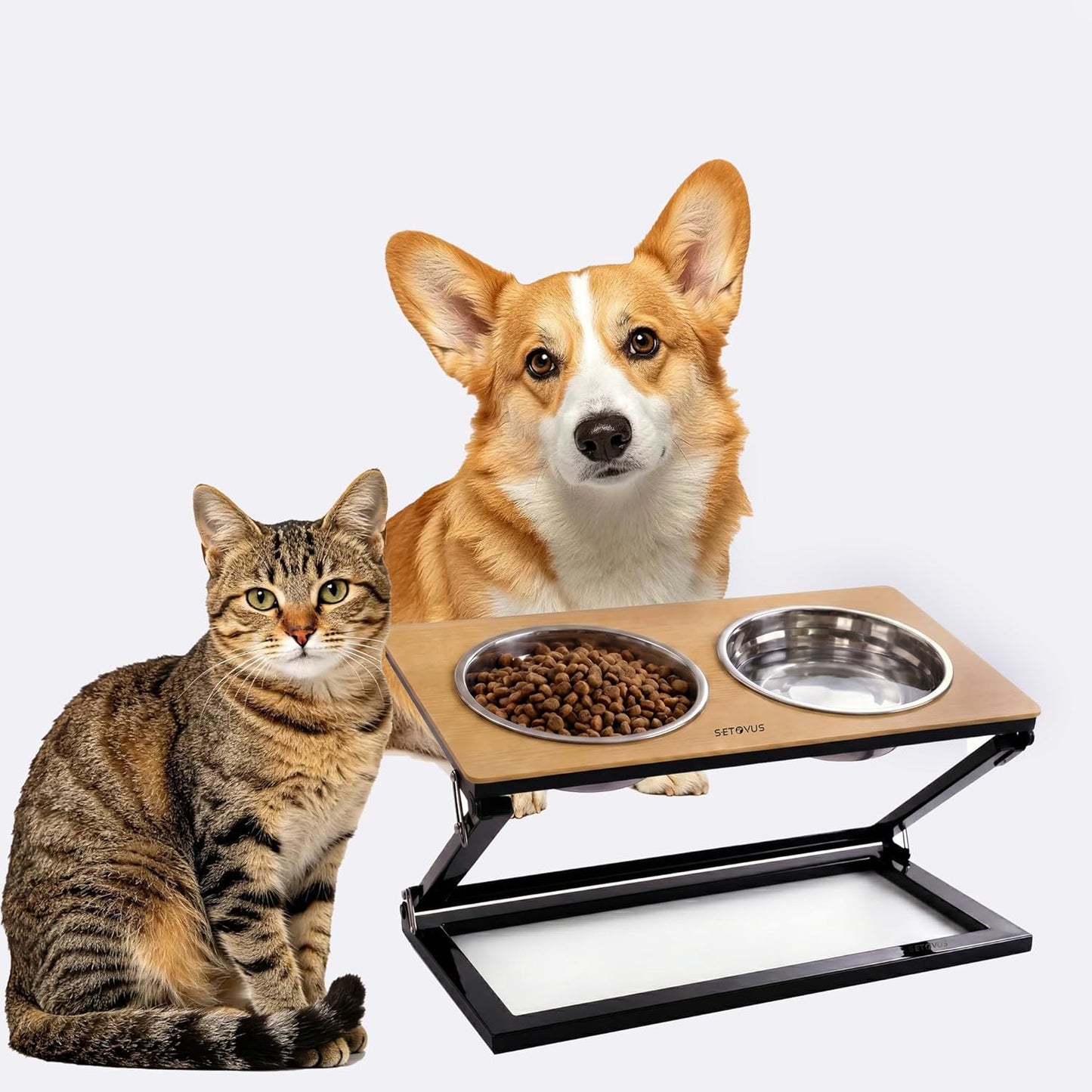 Elevated Dog Bowls, Adjustable Raised Dog Bowl Stand with 2 Stainless Steel Food Bowls 20°Tilted Water Bowls for Medium Small Sized Dogs (Black, Medium)