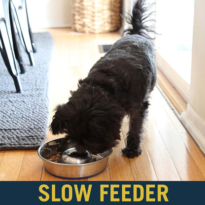 OurPet's DuraPet Slow Feed Premium Stainless Steel Dog Bowl, Silver (2040010301)