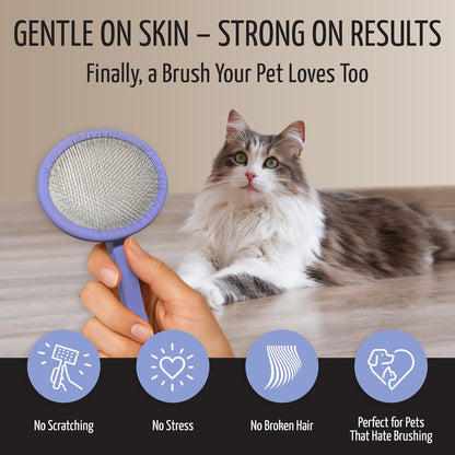 Tauro Pro Line Slicker Brush for Dogs & Cats, Deshedding, Dematting & Detangling Grooming Tool for Medium to Long Coats, Ideal for Doodles & Poodles, Flexible Cushion, Purple, Medium Size (M)