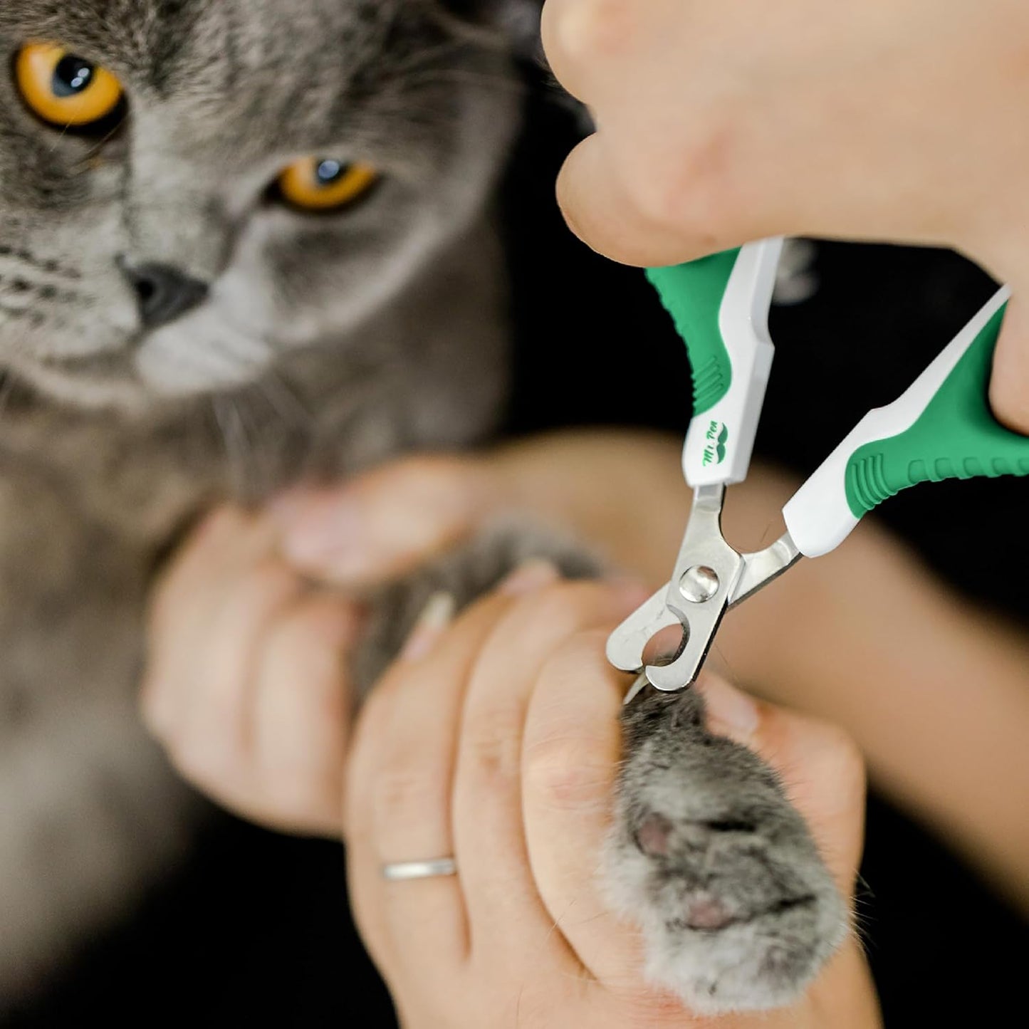 Mr. Pen- Cat Nail Clipper, Stainless Steel, Professional Sharp Cat Claw Trimmer for Small and Medium Cats, Pet Nail Clipper with Sturdy Non Slip Handle