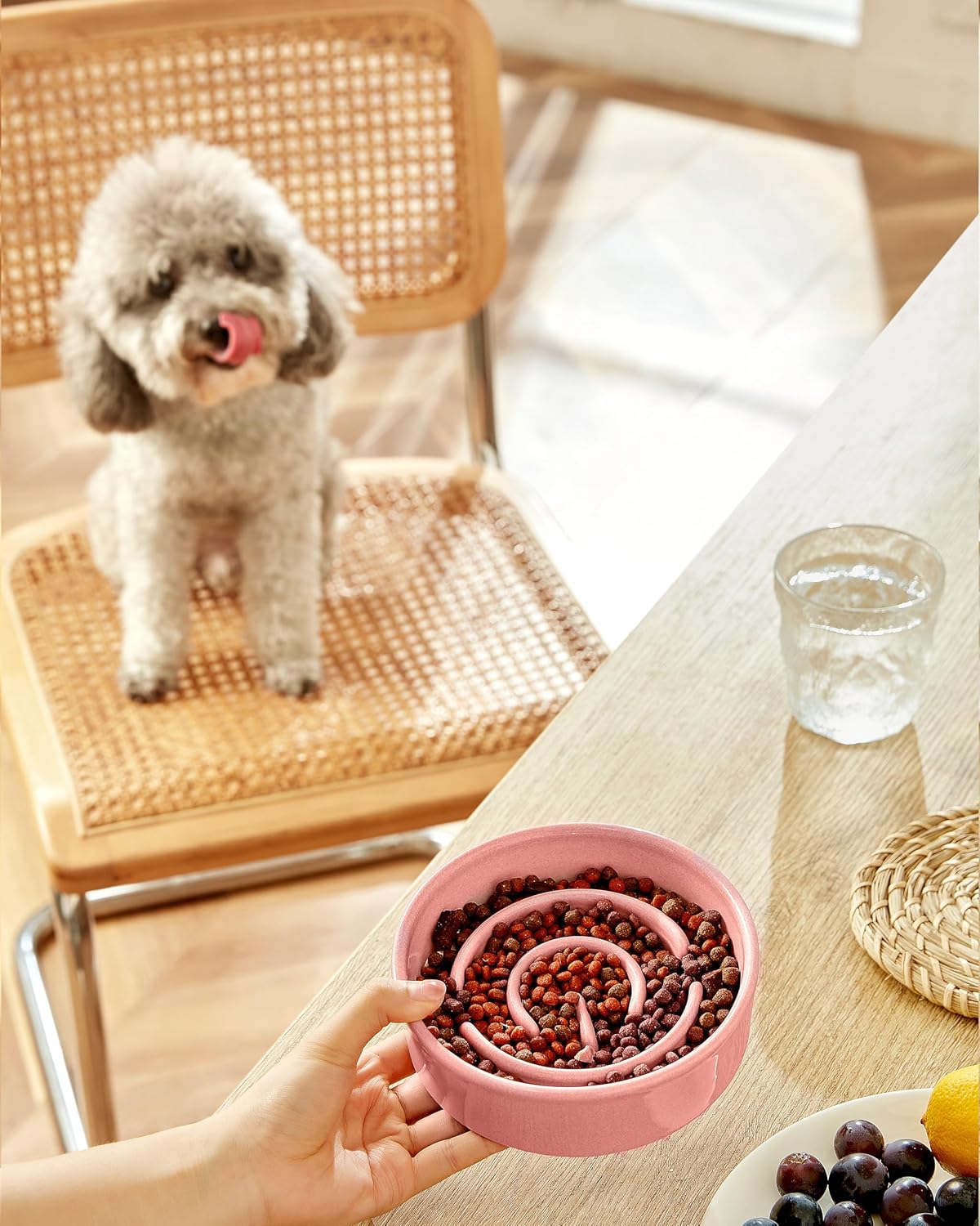 Ceramic Slow Feeder Dog Bowls, 2.0 Cups Slow Feeder for Medium Dogs, Puzzle Maze Bowl to Slow Down Eating, 30oz, 8in, White