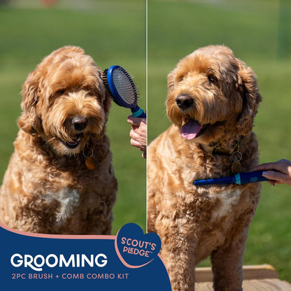 Good Scout 2-Piece Deshedding Tool Set with Self-Cleaning Slicker Brush & Dual-Head for Dogs & Cats, Gentle, Safe & Effective Grooming Tool for Short or Long Haired Animals
