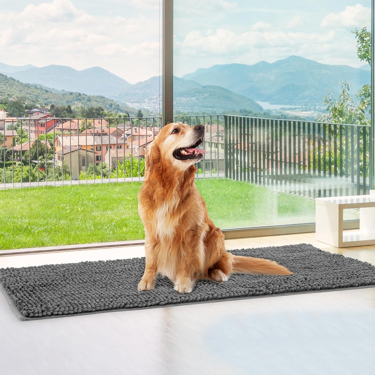 Absorbent Dog Door Mat for Muddy Paws, 60" x 24" Chenille Indoor Mats for Entryway, Trap Dirt Front Door Mat Indoor Entrance Washable Non Slip Soft