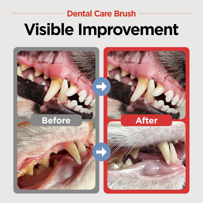 JAYU PET Dental Care Brush with Soft Bristles 1ea - Dog Toothbrush, Cat Toothbrush, Dental Care for Kitten and Small Dogs, Removing Old Plaque and Tartar, Easy Cleaning