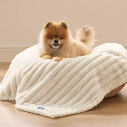 Bedsure ComfyFleece™ Waterproof Dog Blankets for Large Dogs - Soft Pet Cat Blanket Corduroy Fleece for Couch Bed Protector Washable, Cozy Calming Reversible Furniture Protection,50"x60", Cream
