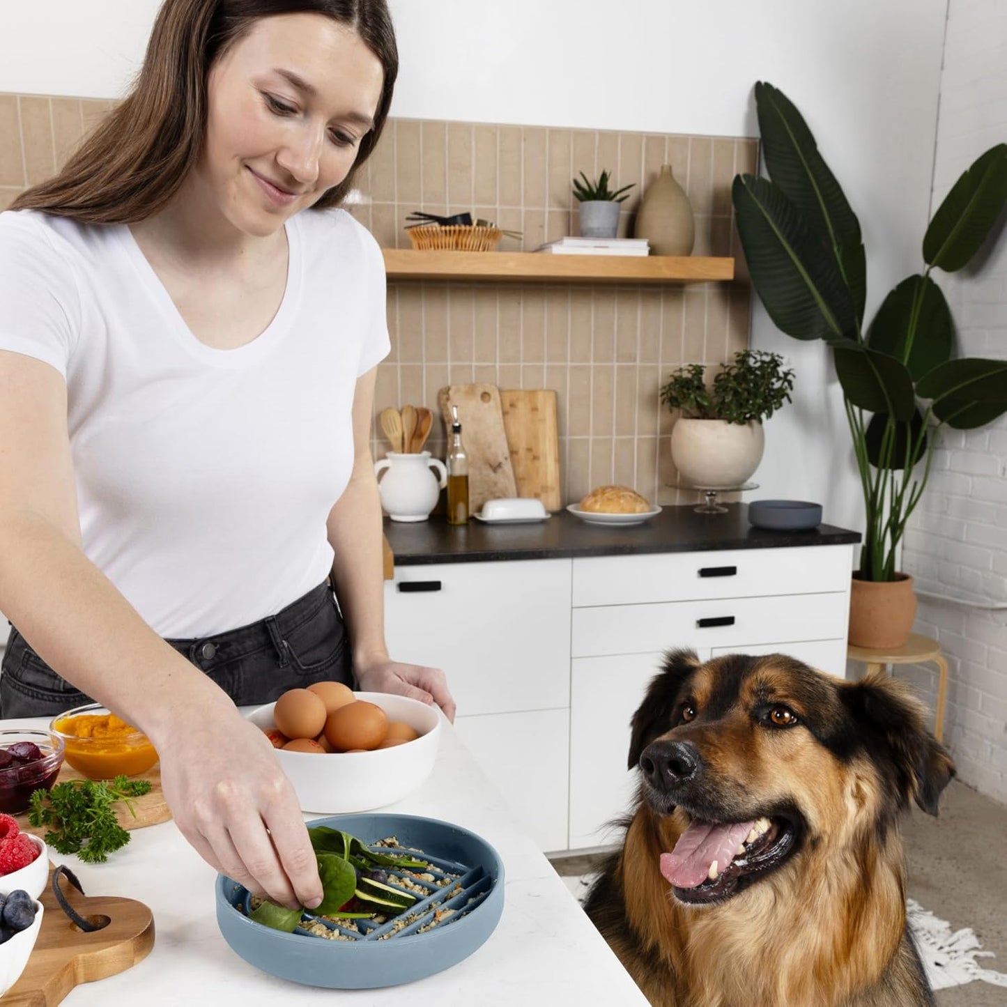 Should We Go? Slow Feeder for Dogs & Puppies, The Slowdown Bowl Silicone Slow Eating, Modern Lick Mat Design, Reduces Gulping, Fits 2 Cups, 7.5” Across x 1.5” Tall, Mealtime Challenge, Medium-Blush