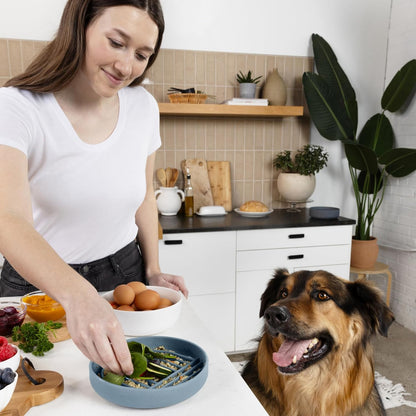 Should We Go? Slow Feeder for Dogs & Puppies, The Slowdown Bowl Silicone Slow Eating, Modern Lick Mat Design, Reduces Gulping, Fits 2 Cups, 7.5” Across x 1.5” Tall, Mealtime Challenge, Medium-Blush