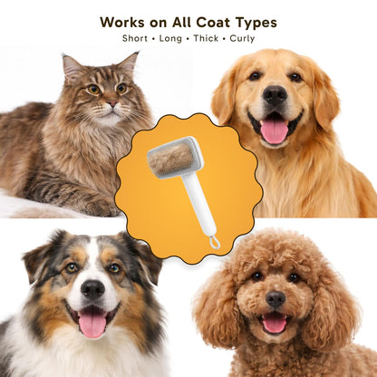 Wolfster Self Cleaning Slicker Brush for Dogs & Cats - Skin-Friendly Deshedding Brush & Undercoat Rake for Short, Medium and Long Hair Pets, Reduces Shedding by 90% (Parrot Green)