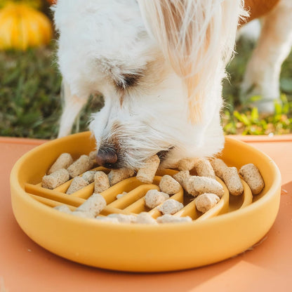 Should We Go? Slow Feeder for Dogs & Puppies, The Slowdown Bowl Silicone Slow Eating, Modern Lick Mat Design, Reduces Gulping, Fits 2 Cups, 7.5” Across x 1.5” Tall, Mealtime Challenge, Medium-Blush