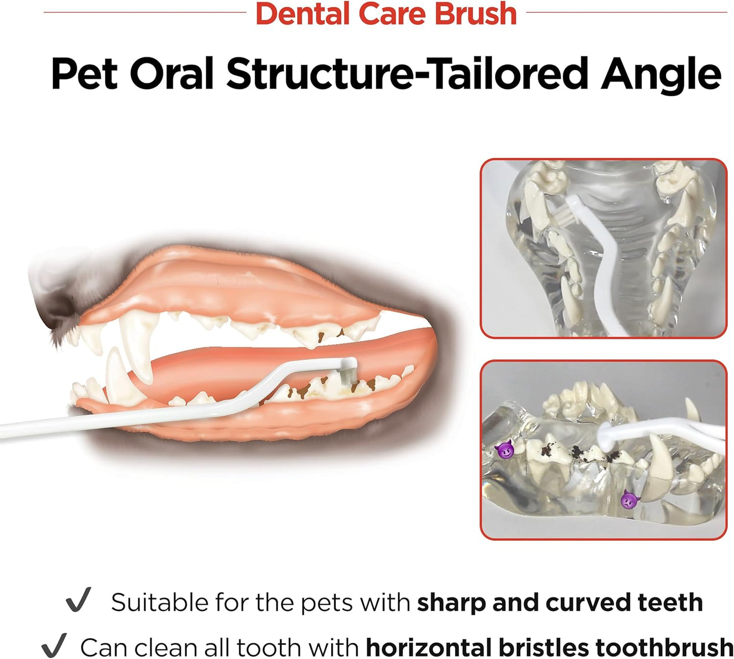 JAYU PET Dental Care Brush with Soft Bristles 1ea - Dog Toothbrush, Cat Toothbrush, Dental Care for Kitten and Small Dogs, Removing Old Plaque and Tartar, Easy Cleaning