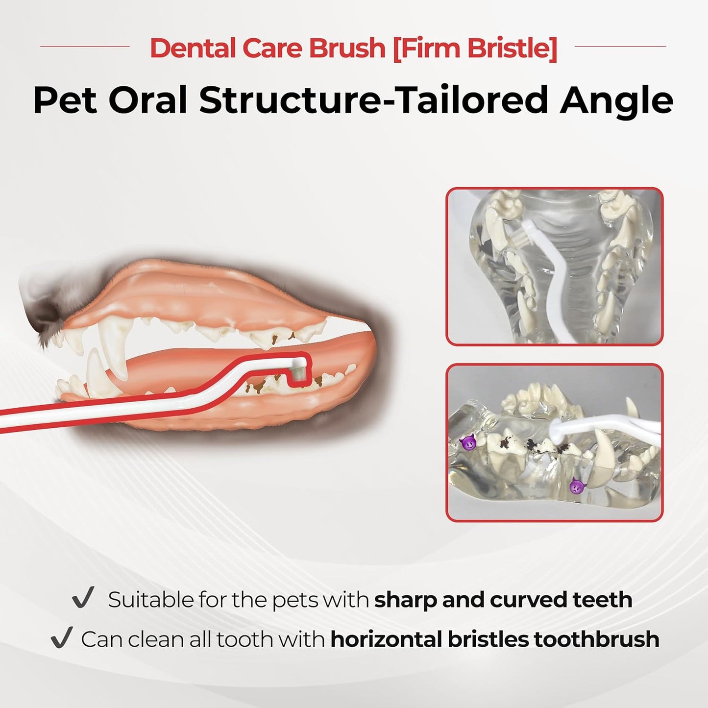 JAYU PET Dental Care Brush with Soft Bristles 1ea - Dog Toothbrush, Cat Toothbrush, Dental Care for Kitten and Small Dogs, Removing Old Plaque and Tartar, Easy Cleaning