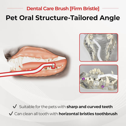 JAYU PET Dental Care Brush with Soft Bristles 1ea - Dog Toothbrush, Cat Toothbrush, Dental Care for Kitten and Small Dogs, Removing Old Plaque and Tartar, Easy Cleaning